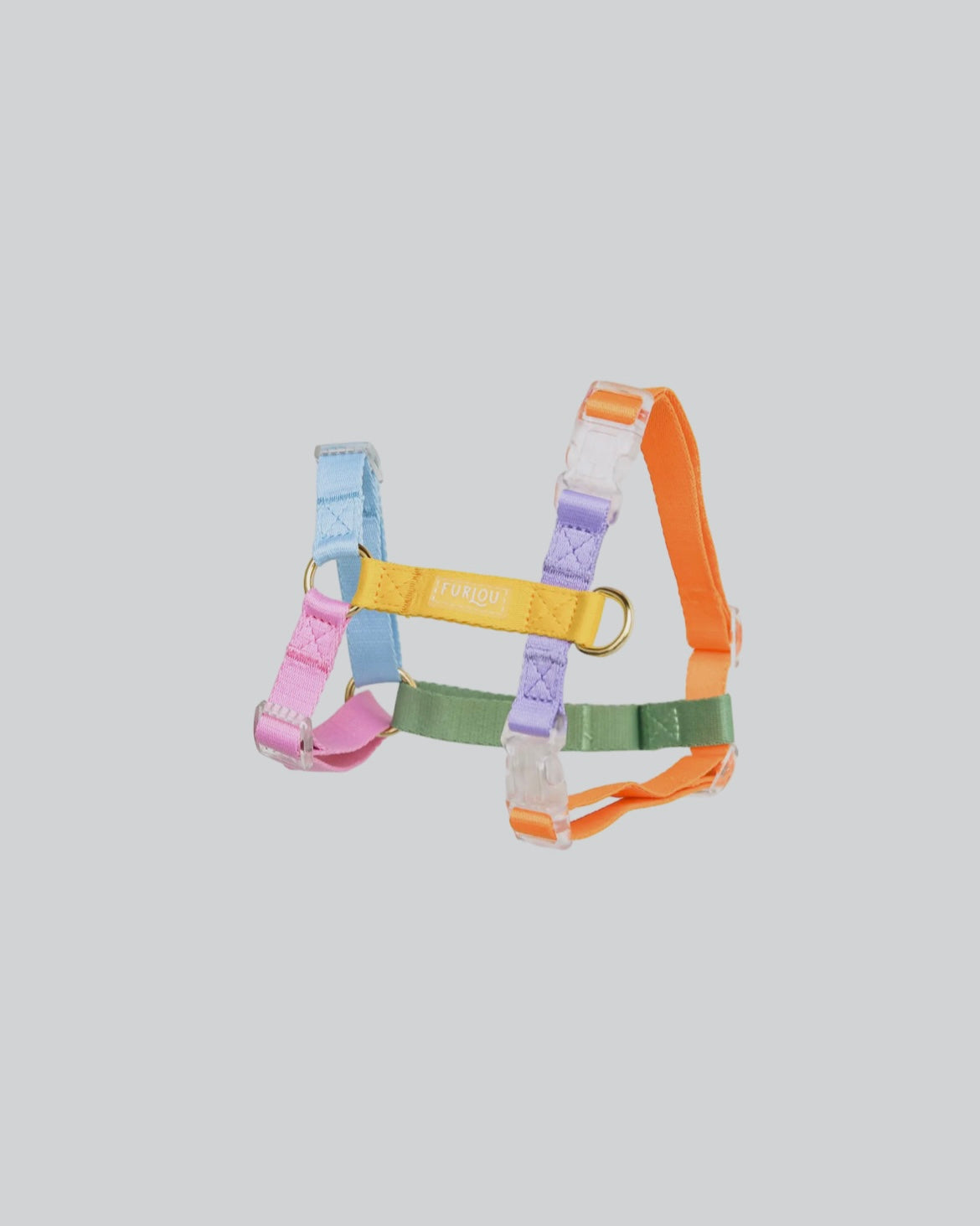 Rainbow Dog Harness