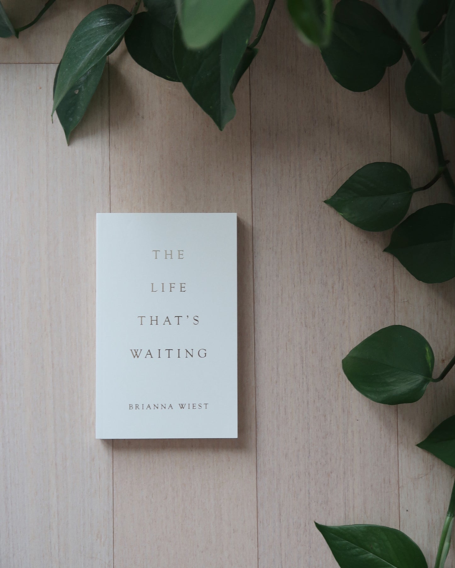 The Life That’s Waiting