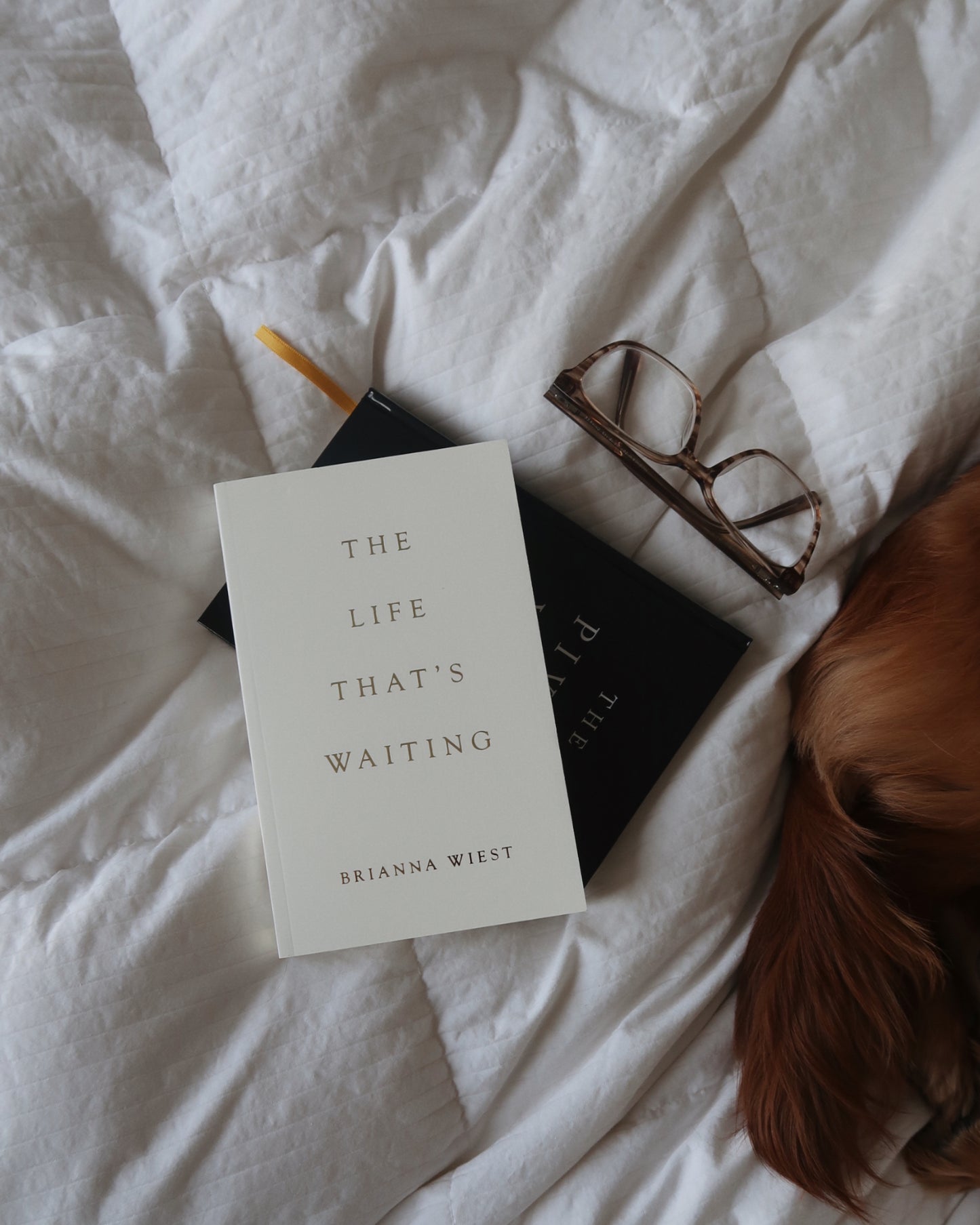 The Life That’s Waiting